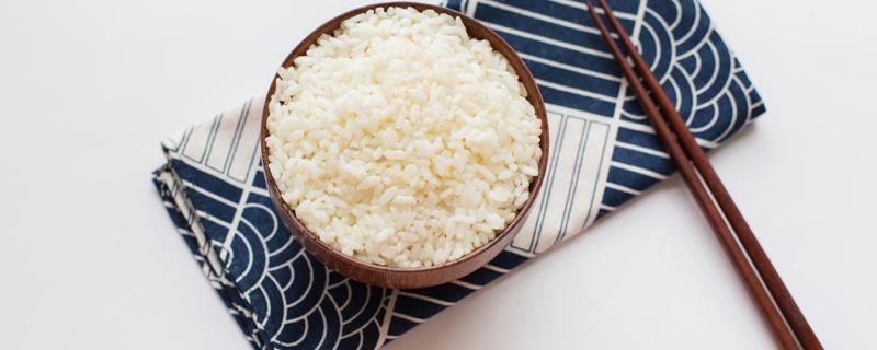 米饭热量低为什么会胖 米饭热量高吗发胖吗