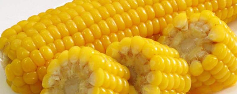 玉米的营养价值及功效 玉米适合减肥的人吃吗