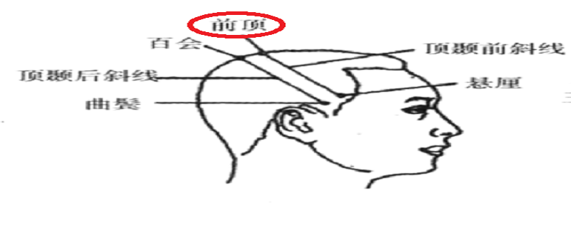 前顶的准确位置图作用 后顶的准确位置图作用
