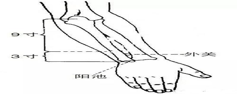 外关针灸位置图和作用（针灸内关外关）