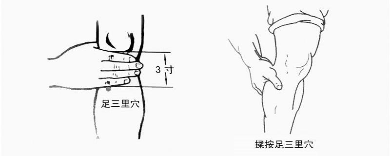 足三里在小腿什么位置 足三里在小腿的哪个部位