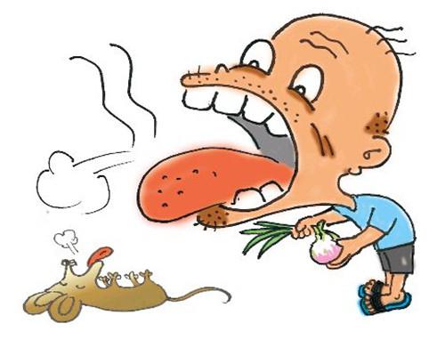 三种食物缓解口臭 吃什么能缓解口臭?多吃这9种食物