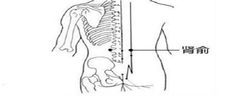 肾俞的简易找法（肾俞的准确位置图片快速找法）