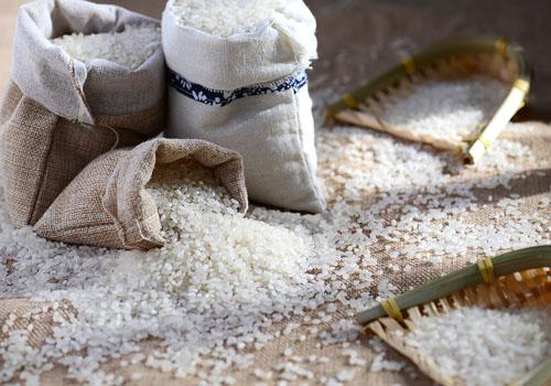 吃大米会导致湿气重吗（常吃大米会增加人体的湿气吗）