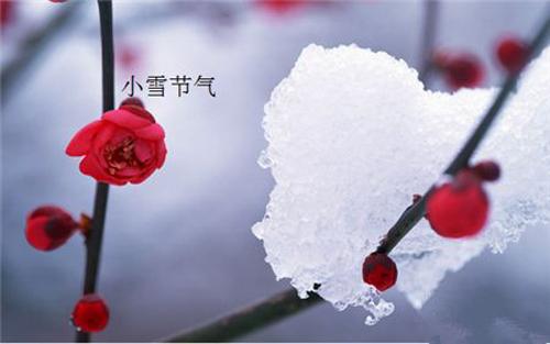 小雪养生 小雪养生重点