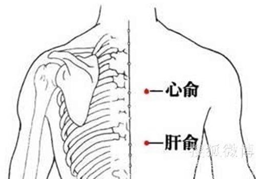 冠心病艾灸穴位 冠心病的艾灸疗法