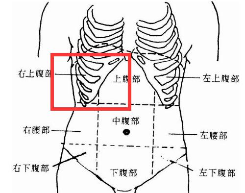 右上腹部疼痛的可能病因（右右上腹部疼痛的可能病因）