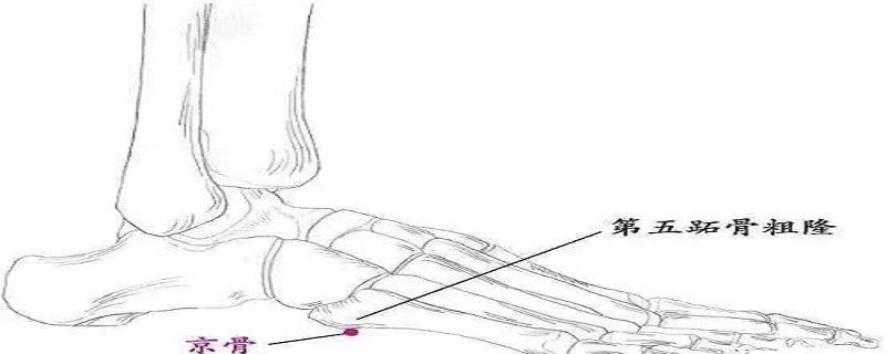 京骨的位置图和作用 京骨的准确位置图和作用