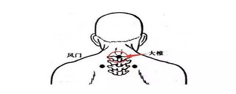 大椎的位置在哪里 大椎在什么位置怎么找