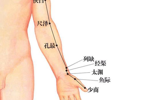 肺经在哪里 人体的肺经在哪里