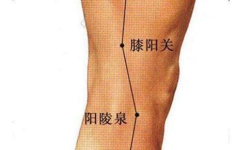 膝阳关的准确位置（膝阳关的准确位置图片）