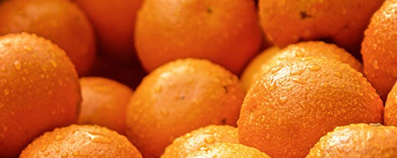 盐蒸橙子适合什么咳嗽 盐蒸橙子适合什么样的咳嗽