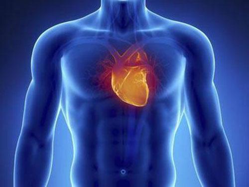 怎么预防心肌梗死 怎样预防心肌梗塞和脑梗塞