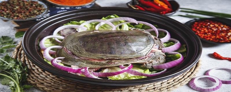 黄花菜甲鱼汤有什么营养价值 黄甲鱼汤的营养价值