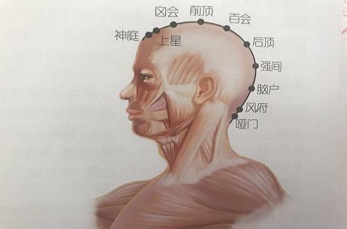 上星的准确位置图 上星的准确位置图和作用的准确位置图片