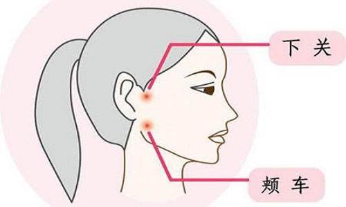 颊车的准确位置图（颊车的准确位置图片）