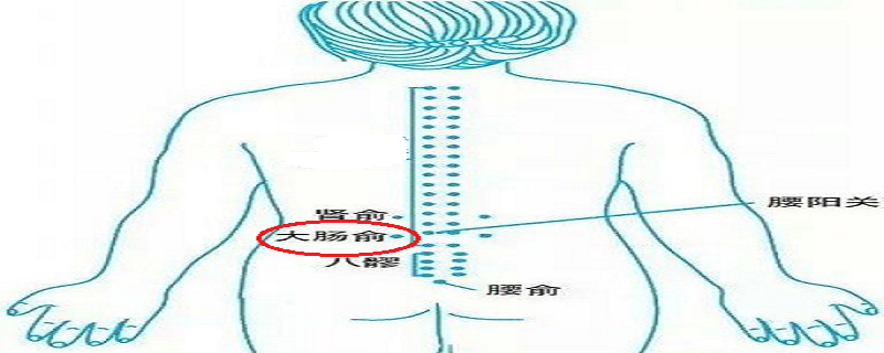 针灸大肠俞有什么作用 艾灸小肠俞的功效有哪些