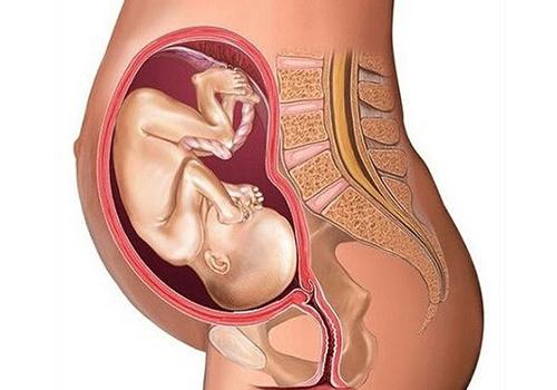 怀孕期间喝酒对胎儿有影响吗 怀孕后喝酒对胎儿影响大吗