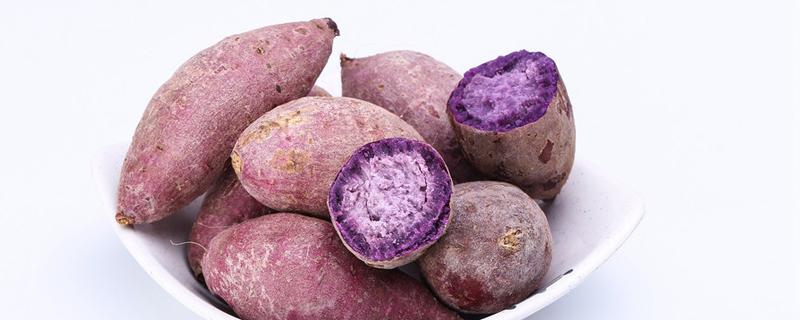紫薯什么时候吃最好 晚上吃紫薯会胖吗