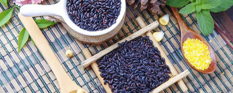紫米和黑米哪个贵 紫米和黑米哪个更营养