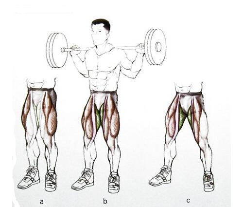 杠铃深蹲脖子疼是怎么回事 杠铃深蹲后颈痛