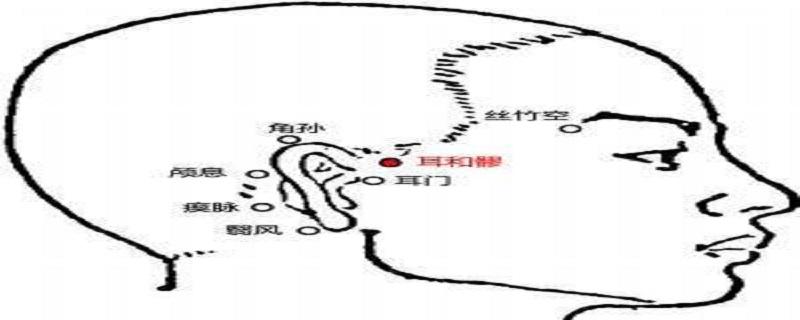 耳和髎的通俗位置（耳和髎的准确位置图片及作用）