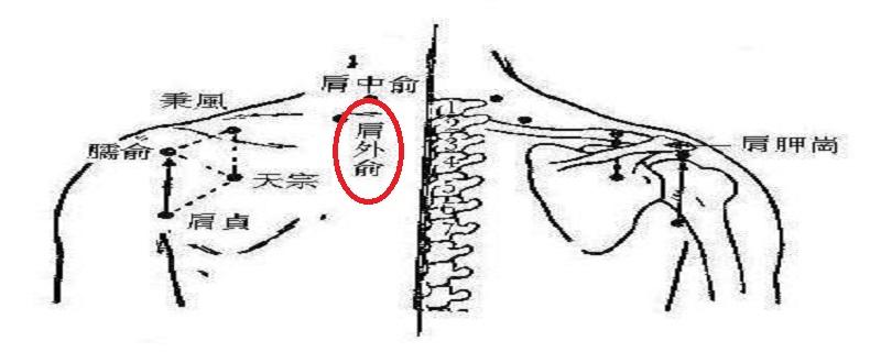 肩外俞在哪里（肩外俞的准确位置图片）