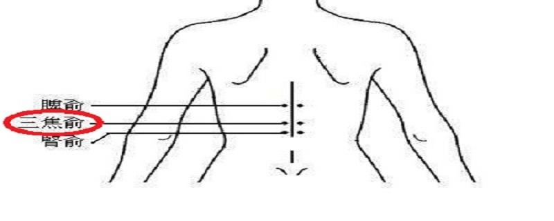 三焦俞的准确位置图 三焦俞的准确位置图作用功效