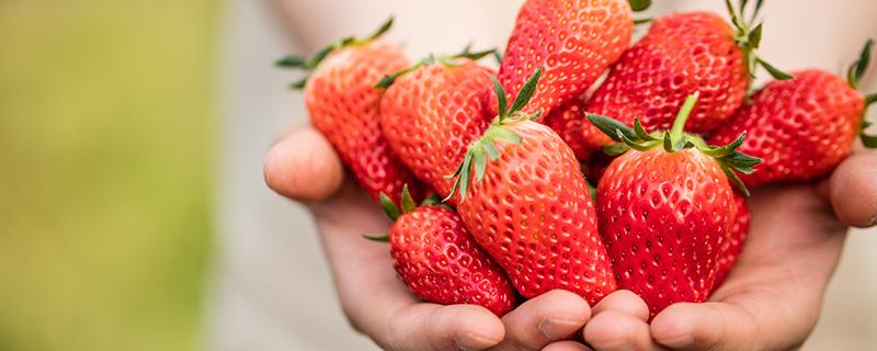 草莓和什么一起榨汁好喝 草莓和苹果能一起吃吗