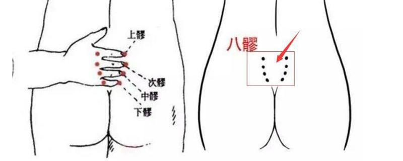 八髎准确位置图作用功效 八髎准确位置图