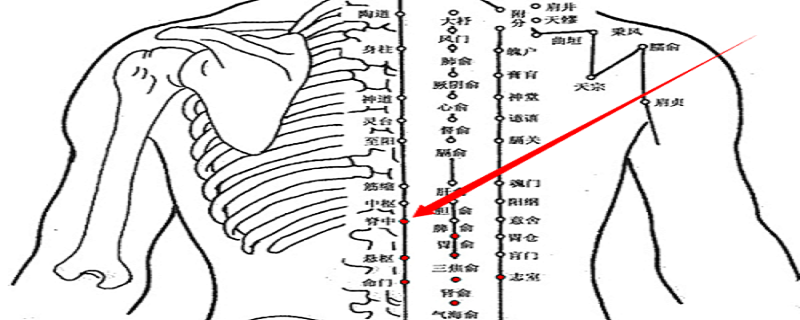 脊中位置疼是怎么回事（脊中疼痛怎么回事）
