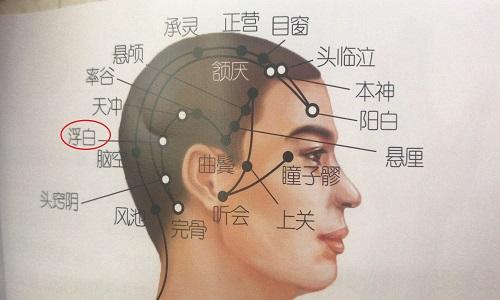 浮白的准确位置图片 浮白的准确位置图片作用功效