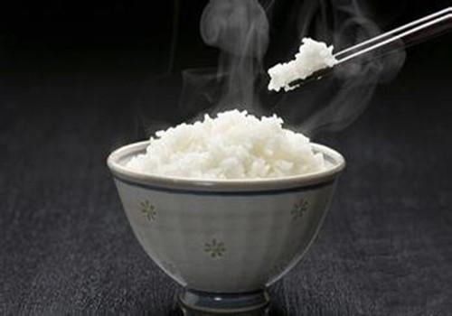 面条和米饭哪个容易胖