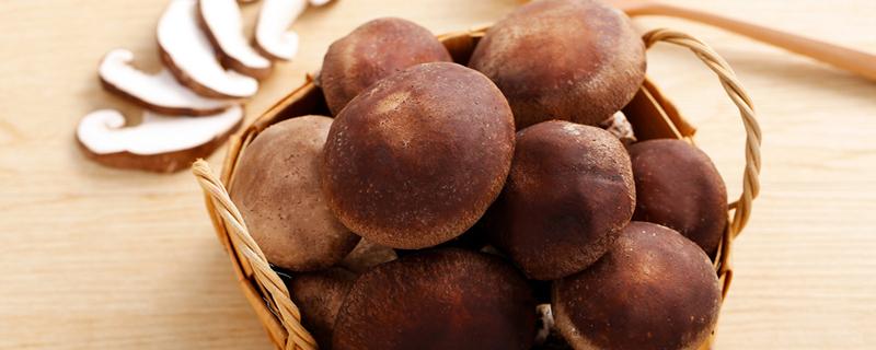 香菇存放冰箱时间长能吃吗 如何判断香菇变质