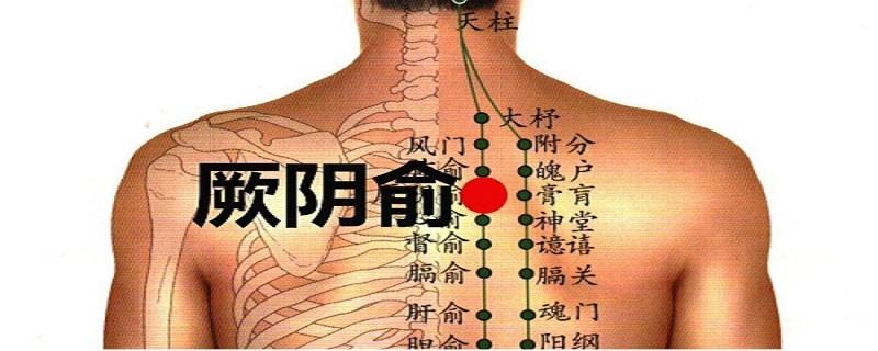 厥阴俞在哪里（厥阴俞的准确位置图）