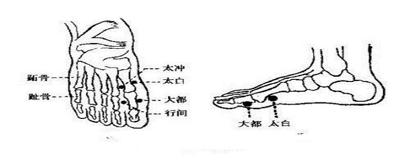 大都的意思和作用 大都的位置图