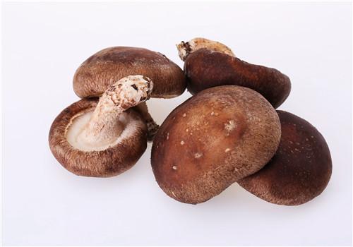 蘑菇吃了有什么好处 蘑菇吃了有什么好处抗癌吗