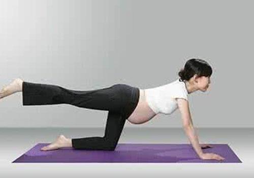 孕妇瑜伽几个月开始