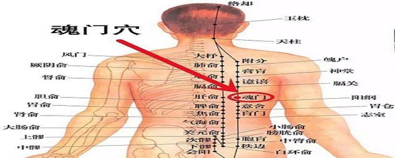 魂门的位置及作用（魂门的准确位置和作用）