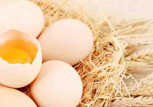 只吃蛋白不吃蛋黄好吗 吃蛋黄有什么好处