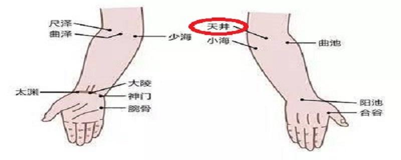 天井的准确位置视频 按摩天井的作用与好处