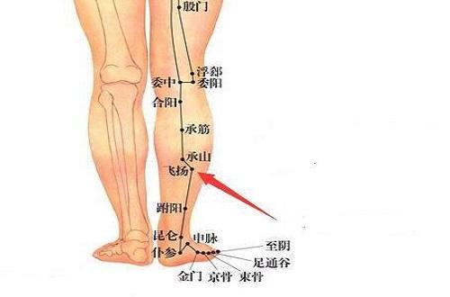 飞扬的准确位置图片（飞扬的准确位置图片及作用）