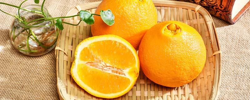 脐橙可以保存多久（脐橙要怎么保存才会放的很长时间）