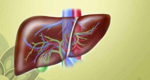肝脏受损的原因 肝脏受损的原因是