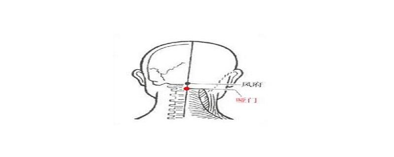 哑门的准确位置如何寻找 哑门怎么定位