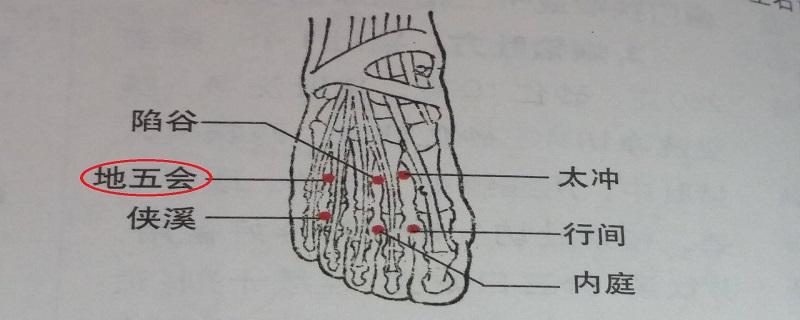 地五会的准确位置 地五会的准确位置与功效