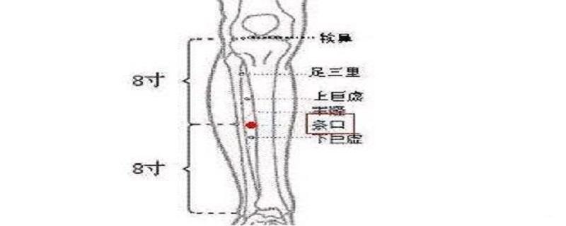 条口的意思是什么 口条还有什么叫法