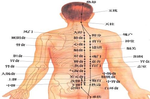 三焦俞疼痛怎么引起的 三焦俞一按就疼怎么回事