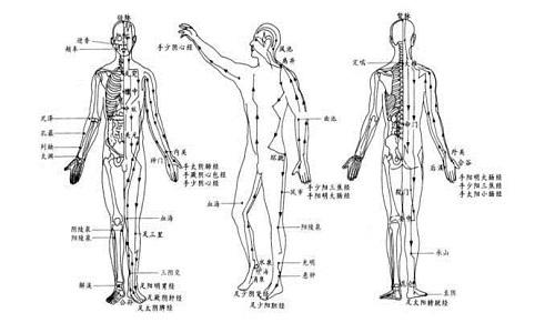 十二经络运行时间 十二经络运行时间养生