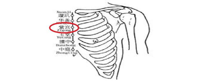 紫宫准确位置图 紫宫准确位置图和作用及功效